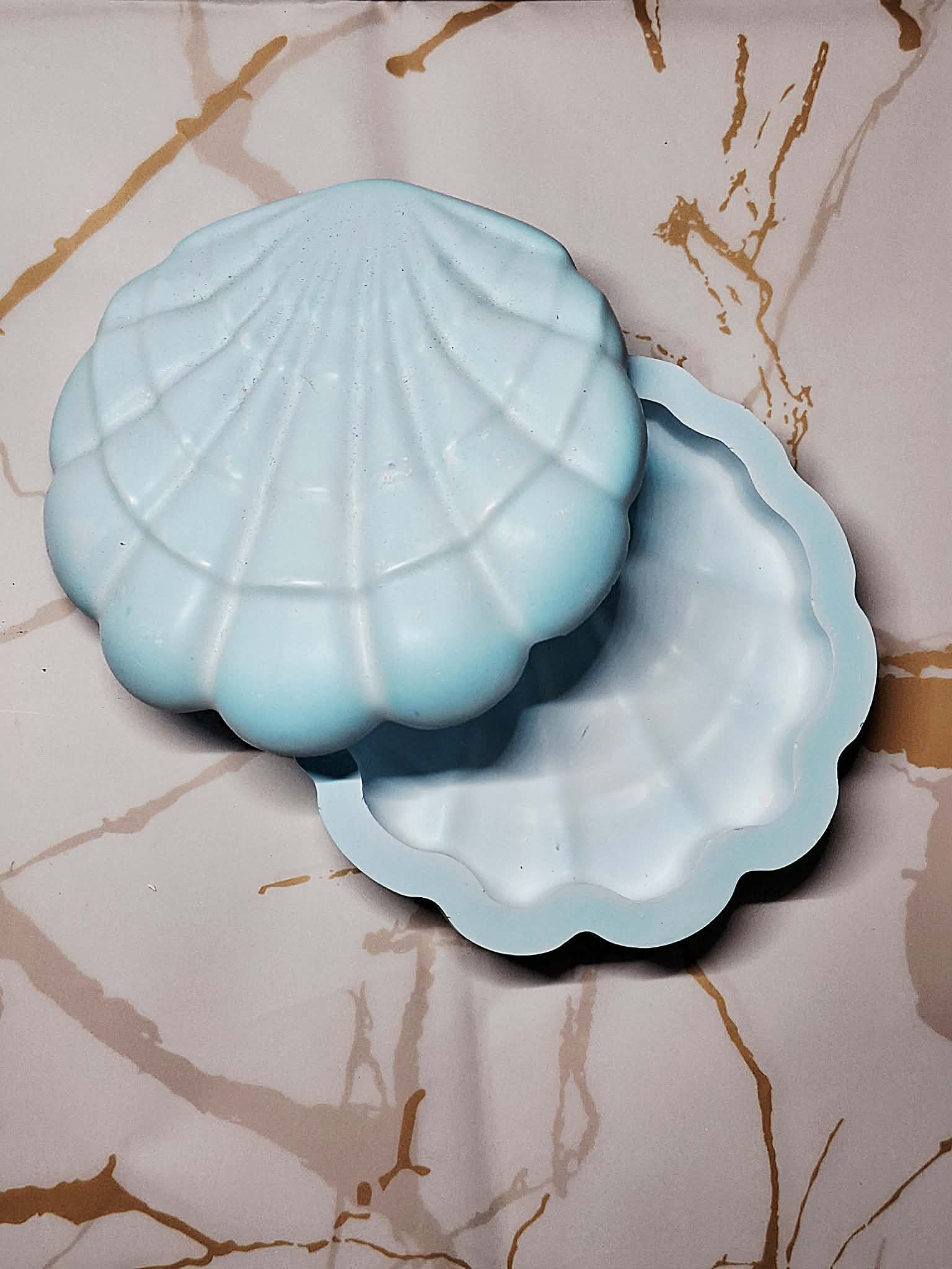 Coquille Précieuse 🐚